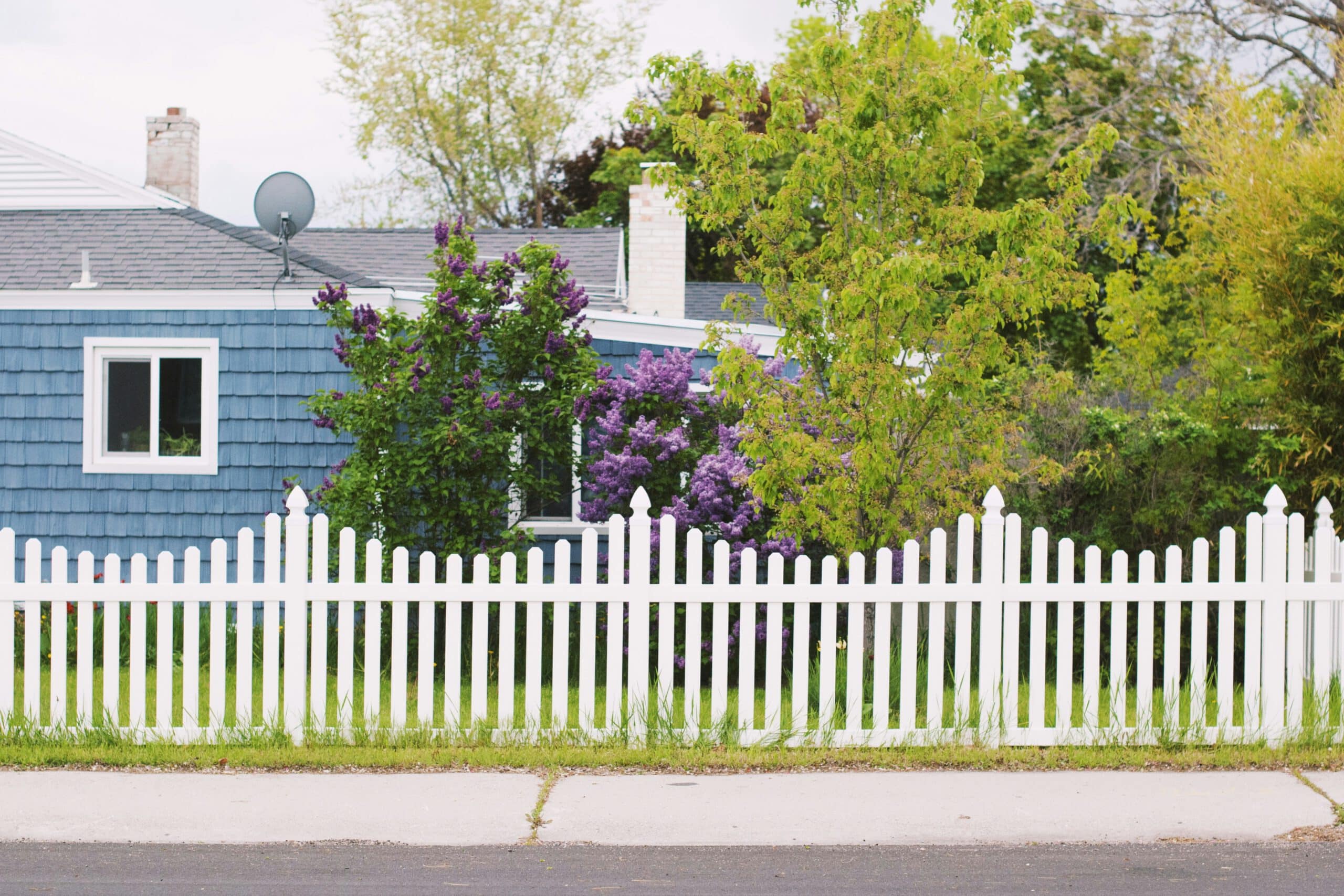 A charming blue house with a white picket fence, surrounded by lush greenery and purple flowers in a suburban setting.
