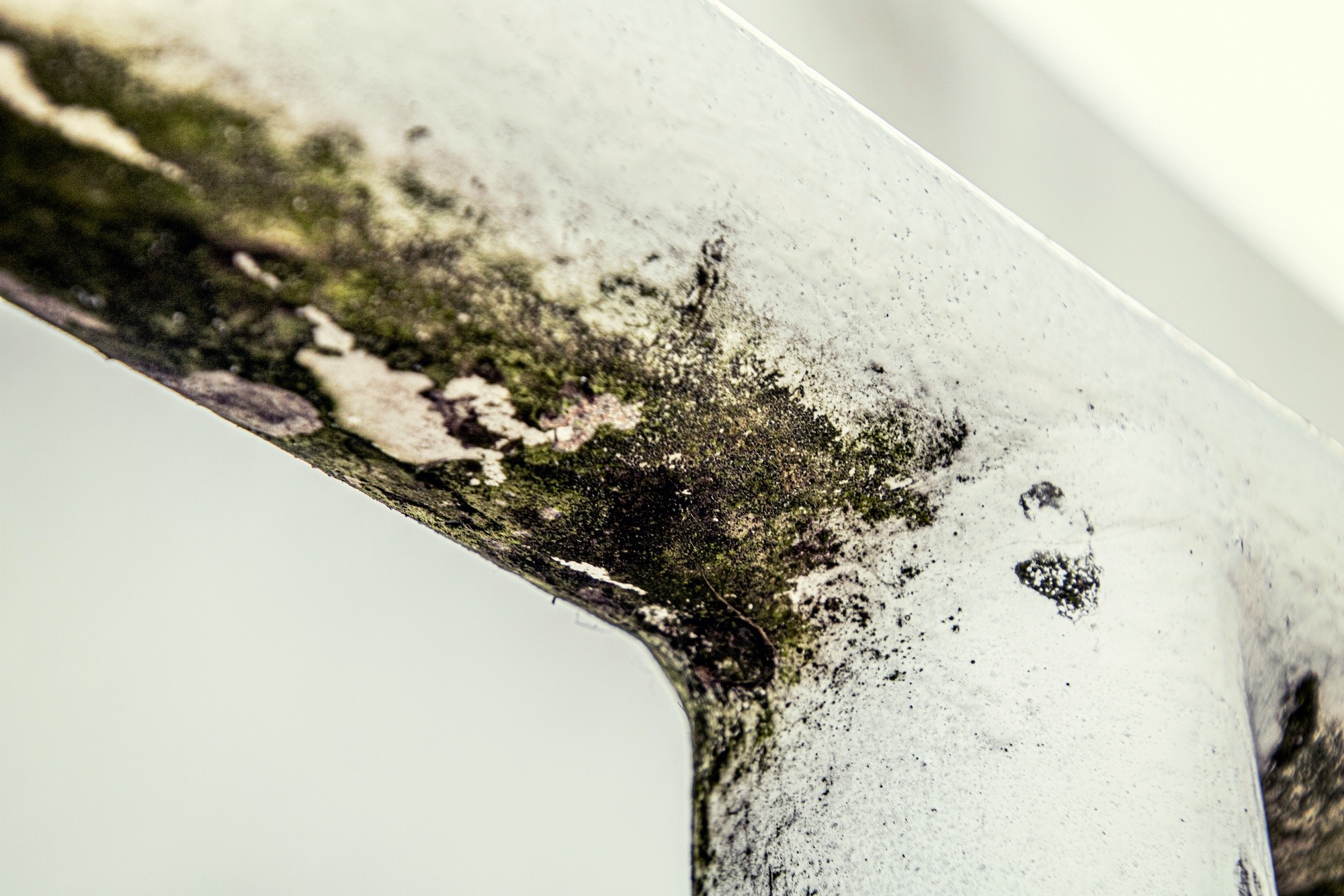 Mold on wall crevices